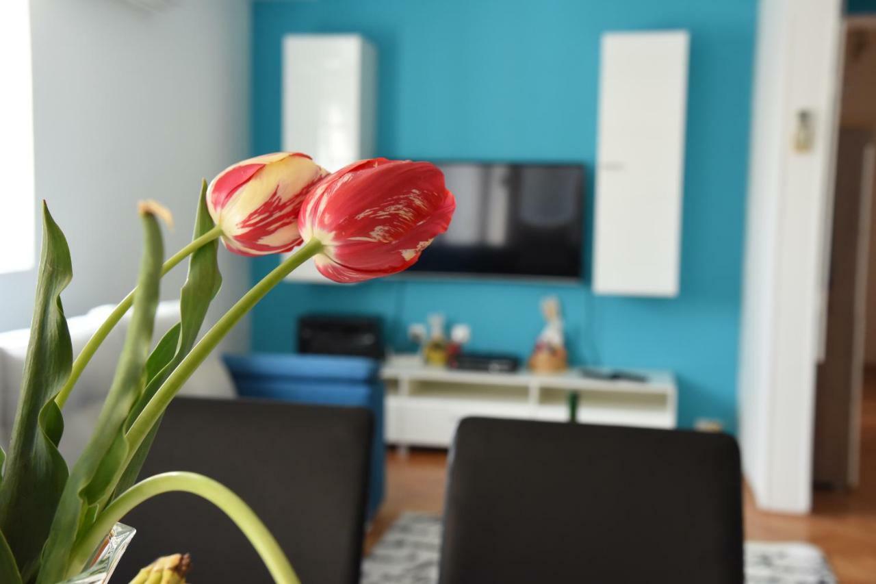 Kiara Apartments سكوبجي المظهر الخارجي الصورة